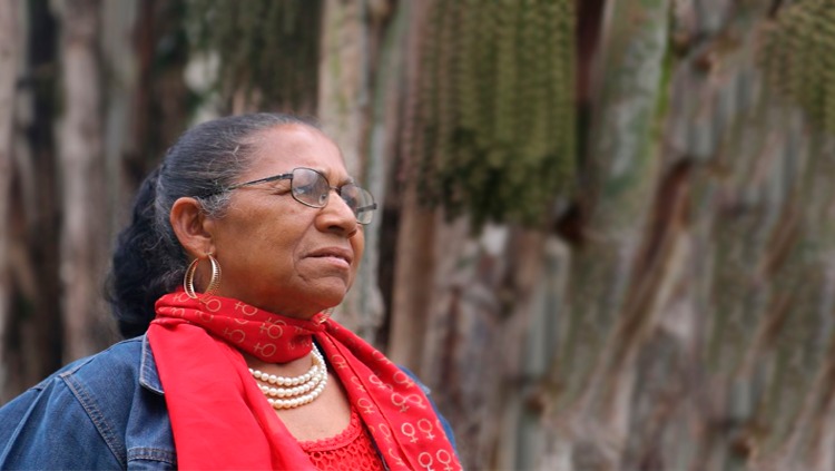 “Acabar com a atividade das quebradeiras de coco é acabar com a vida delas”, diz conselheira.jpeg