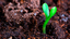 6dba993f-afc0-44f3-ad06-d5b00d011c4a.png