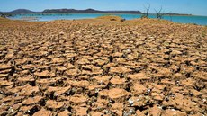Aplicação de recursos no semiárido busca garantir acesso à água e à terra, desenvolvimento econômico da região, por meio da assistência técnica e organização das cadeias produtivas. Imagem: Marcello Casal/ABr
