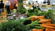 Feiras oferecem variedade e preços mais acessíveis que supermercados, como abacate manteiga, que custa cerca de R$ 8,50 o quilo na feira contra R$ 9,64 em sites especializados e R$ 13,80 no supermercado. Imagem: Tony Winston/ABr