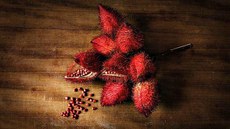 De abril a julho de 2016, rede brasileira indicou mais de 300 produtos para a Arca. Urgência visa proteger biodiversidade da ameaça constante que afeta produções artesanais, diversidade cultural e ecossistemas naturais. Imagem: Slow Food
