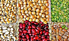 “Novas gerações estão perdendo conhecimento sobre formas de produção, consumo e preparação de leguminosas. Trata-se de um tesouro latino-americano que está em risco”, afirma FAO. Imagem: Pixabay/ONU
