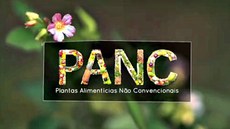 Programas da série Fonte da Juventude, do Fantástico, apresentam benefícios das frutas, verduras e legumes e importância da biodiversidade na alimentação como alternativa para combater desnutrição e obesidade, incluindo ingredientes naturais da flora brasileira, como as plantas alimentícias não convencionais (Panc). Imagem: TV Globo.
