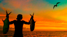 Políticas públicas criadas especificamente para o setor e investimentos comprovam que país pode ser potência importante na pesca e aquicultura. Imagem: Ricardo Stuckert.