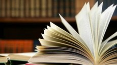 Público terá acesso a 774 títulos, entre livros, teses, dissertações, cartilhas, revistas, relatórios, publicações e documentos: Imagem: Sindjustiça (GO).