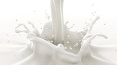 Resultados de diversos estudos que apontam a elevada ocorrência de intolerância à lactose no Brasil. Imagem: Fundepecgo/org