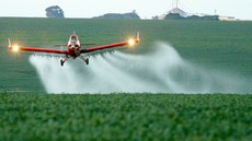 Consea destaca importância do debate sobre efeitos dos agrotóxicos na saúde humana, animal e ambiental, além do risco para segurança alimentar e nutricional. Imagem: SNR