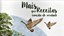 3afb9d7c-ff79-434e-b568-35eaadb16526.jpeg