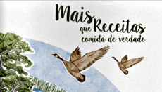Livro foi criado pela Rede Virtual Ideias na Mesa e Observatório de Política de Segurança Alimentar e Nutrição do Departamento de Nutrição da UnB seguindo o próprio processo de semear, colher e preparar o alimento. Imagem: Consea