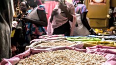 Em 2016, tema do Dia Mundial da Alimentação será “O clima está mudando; a alimentação e agricultura também devem mudar”. Imagem: FAO