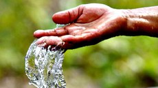 Água Brasil beneficiou mais de 11 milhões de pessoas em 5 anos, na produção agroecológica de alimentos e redução do custo de recuperação florestal. Segunda fase vai até 2020 e envolve Cerrado, o chamado “berço das águas”. Imagem: bbáguabrasil