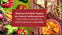 Pesquisa Vigitel mostra que obesidade avança editada.jpg
