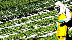 Brasil continua a liderar ranking mundial do consumo de agrotóxicos, indústria que movimenta mais de US$ 2 bilhões ao ano. Imagem: Imagem: Revista Problemas Brasileiros