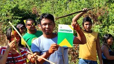 Carta de 88 reafirmou direitos originários e imprescritíveis às terras tradicionalmente habitadas pelos povos ancestrais do Brasil e superou conceito de assimilação, que entedia indígenas como categoria social transitória, fadada ao desaparecimento. Imagem: Cimi