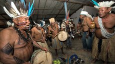 indígenas formam grupo social que, pela situação de vulnerabilidade à desnutrição e à fome, possuem assento no Conselho Nacional de Segurança Alimentar e Nutricional (Consea).Imagem: Funai