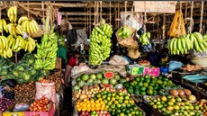 Crescimento das cidades estaria impactando principalmente a população pobre urbana, que enfrenta desafios de acesso a alimentos nutritivos, à proteção social e a serviços de água, saúde e saneamento. Imagem: IFPRI