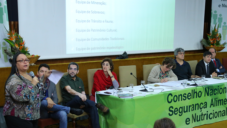 3ª Reunião Plenária do Consea.png