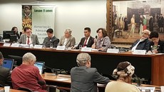 A audiência foi realizada no Plenário 2 da Câmara dos Deputados, em Brasília. Imagem: Consea.
