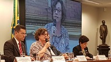 Pronunciamento em celebração dos 11 anos da Losan - Elisabetta Recine