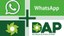 DAP editada.jpg