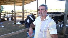 Helvécio produz leite, queijo e iogurte sem aditivos químicos em sua propriedade.
