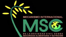 Em nota, 40 entidades civis do MSC destacam construção feita pelo Brasil, nos últimos anos, de um marco institucional para a soberania e segurança alimentar e nutricional, por meio da “implementação de um conjunto de políticas públicas apresentaram bons resultados levando o país a sair do mapa da fome, fato que obteve um reconhecimento internacional”. Imagem: MSC/ONU