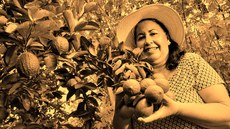 Campanha #MulheresRurais, mulheres com direitos, busca a redução da desigualdade de gênero rumo a um cenário rural mais justo. Imagem: Sead