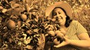 Campanha #MulheresRurais, mulheres com direitos, busca a redução da desigualdade de gênero rumo a um cenário rural mais justo. Imagem: Sead