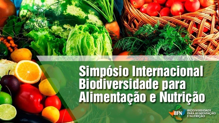 “Alimentação adequada e saudável é um conceito que está muito além de composição e equilíbrio de nutrientes”, diz presidenta do Consea.jpeg “Alimentação adequada e saudável é um conceito que está muito além de composição e equilíbrio de nutrientes”, diz presidenta do Consea.jpeg