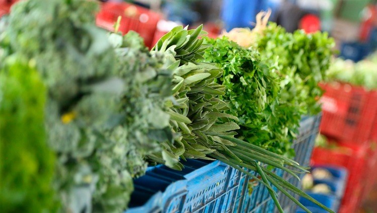 Agricultura Familiar e Compras Públicas PAA.jpeg Agricultura Familiar e Compras Públicas PAA.jpeg