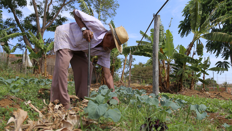 IBGE e Contag realizam evento preparatório para censo agropecuário.png