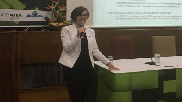 ABC apresenta em plenária do Consea o panorama da cooperação internacional (3).jpg