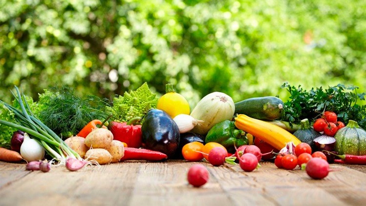 Professora da UnB propõe diário para melhorar hábitos alimentares.jpeg Professora da UnB propõe diário para melhorar hábitos alimentares.jpeg