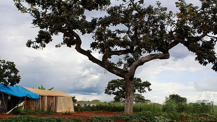 tenda_1.jpg tenda_1.jpg