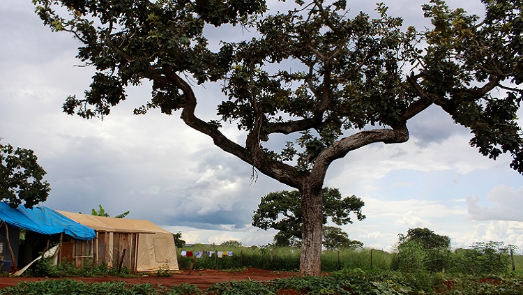 tenda_1.jpg