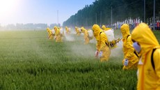 Carta Política da 5ª + 2 propõe revisar leis, como o convênio de 1997, que reduziu em 60% a base de cálculo do ICMS em operações interestaduais com inseticidas, herbicidas e formicidas, e outros produtos similares. Imagem: Jornal Ipanema