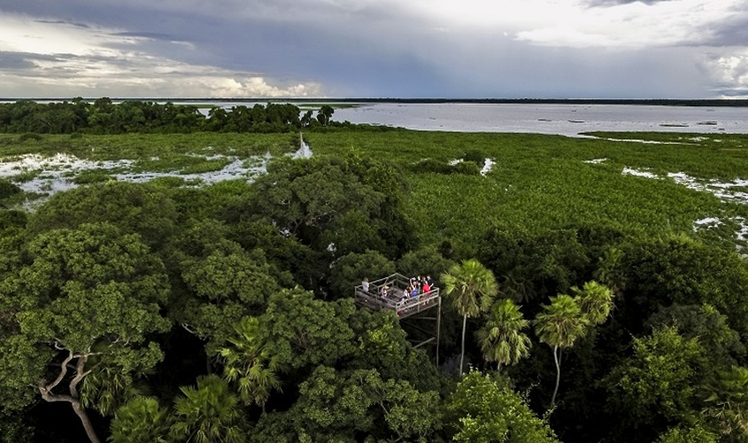 Pantanal.jpg